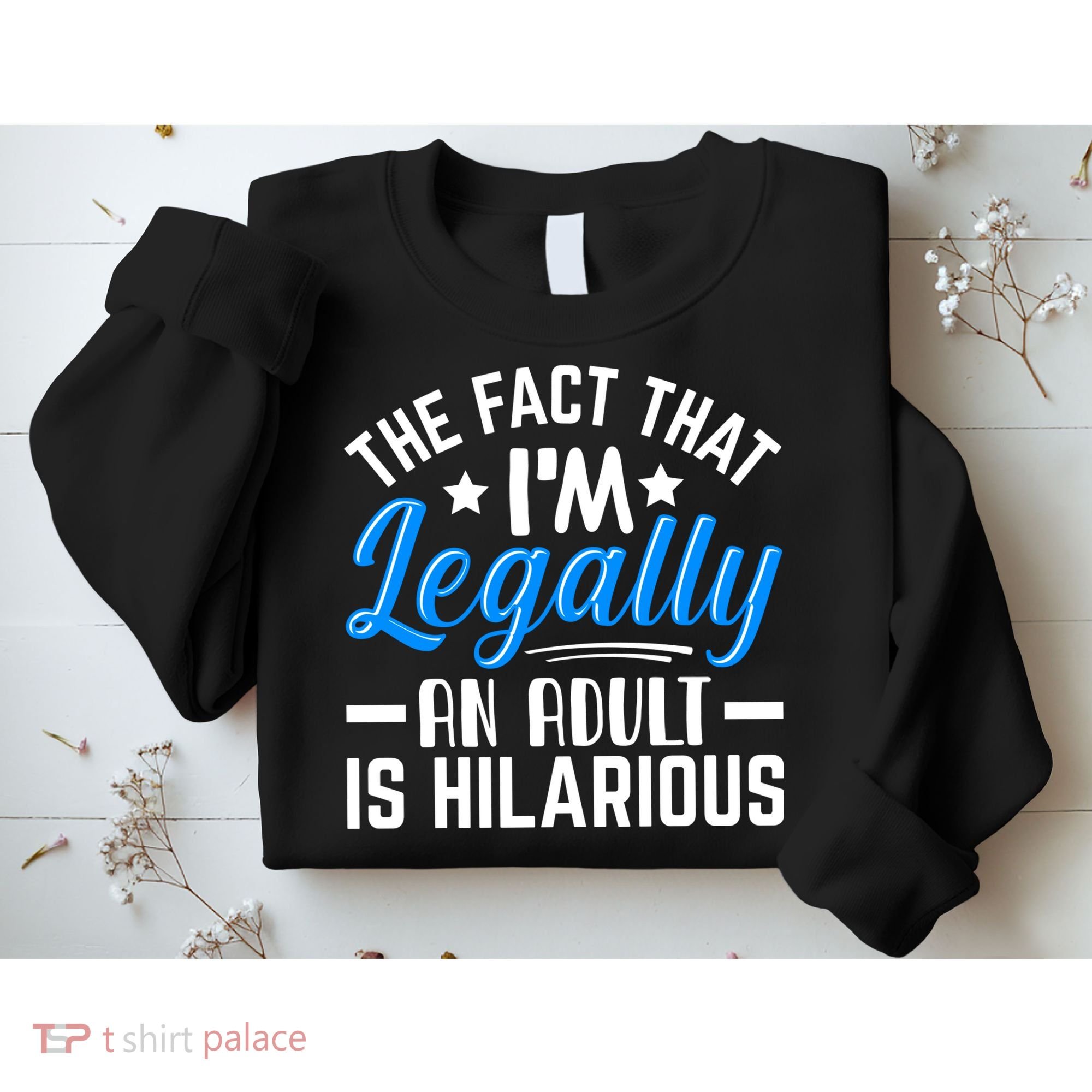 Funny Birthday Humor Bday Celebration Gift For 18th, 30th, 40th Sweatshirt