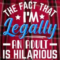 Funny Birthday Humor Bday Celebration Gift For 18th, 30th, 40th Men's Flannel Plaid Pajama Pants thumb 2