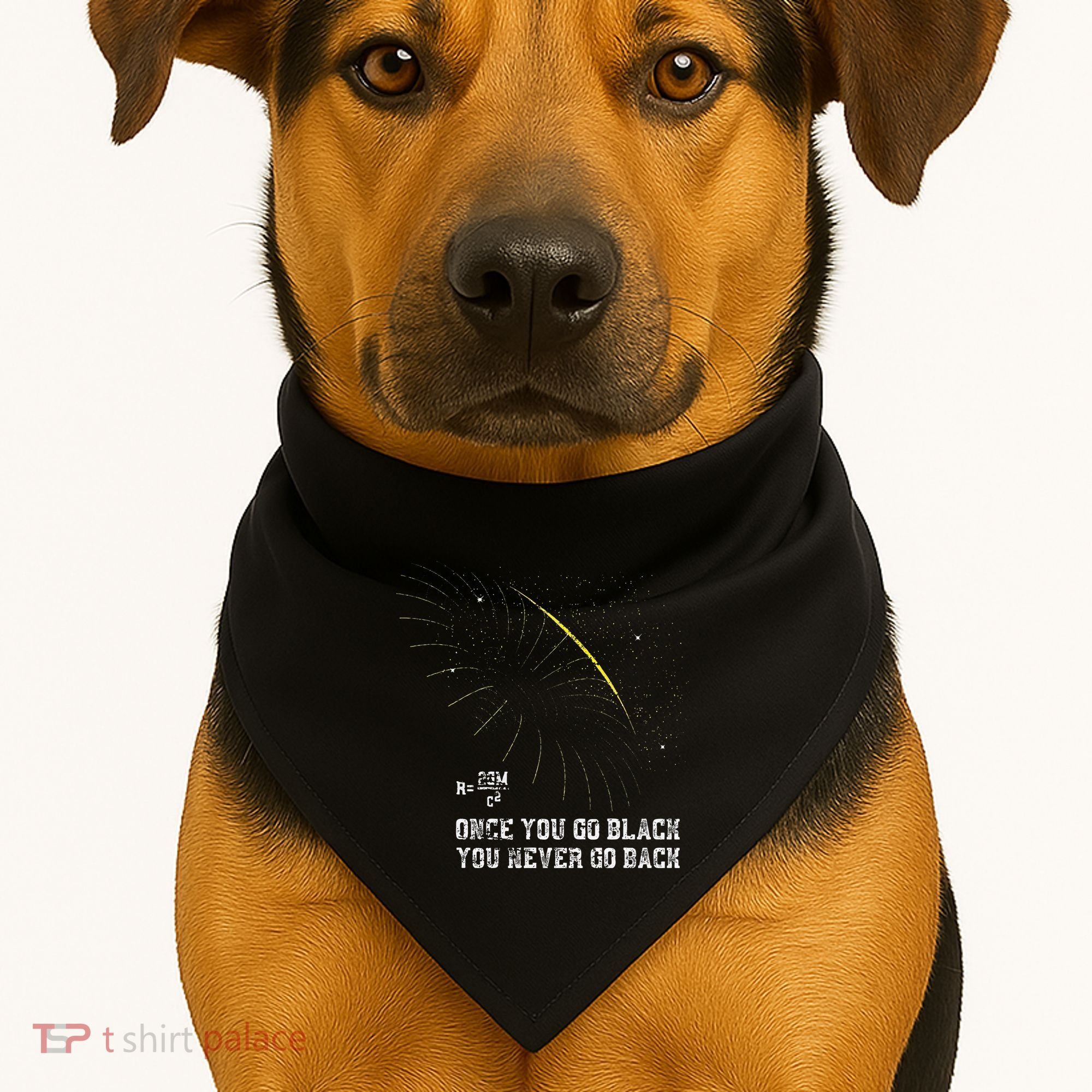 Funny Black Hole Physicist Gift Physics USA-Made Doggie Bandana
