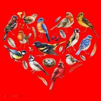 Forest Bird Heart Watching Cardinal Goldfinch Wren Chickadee Santa Hat thumb 1