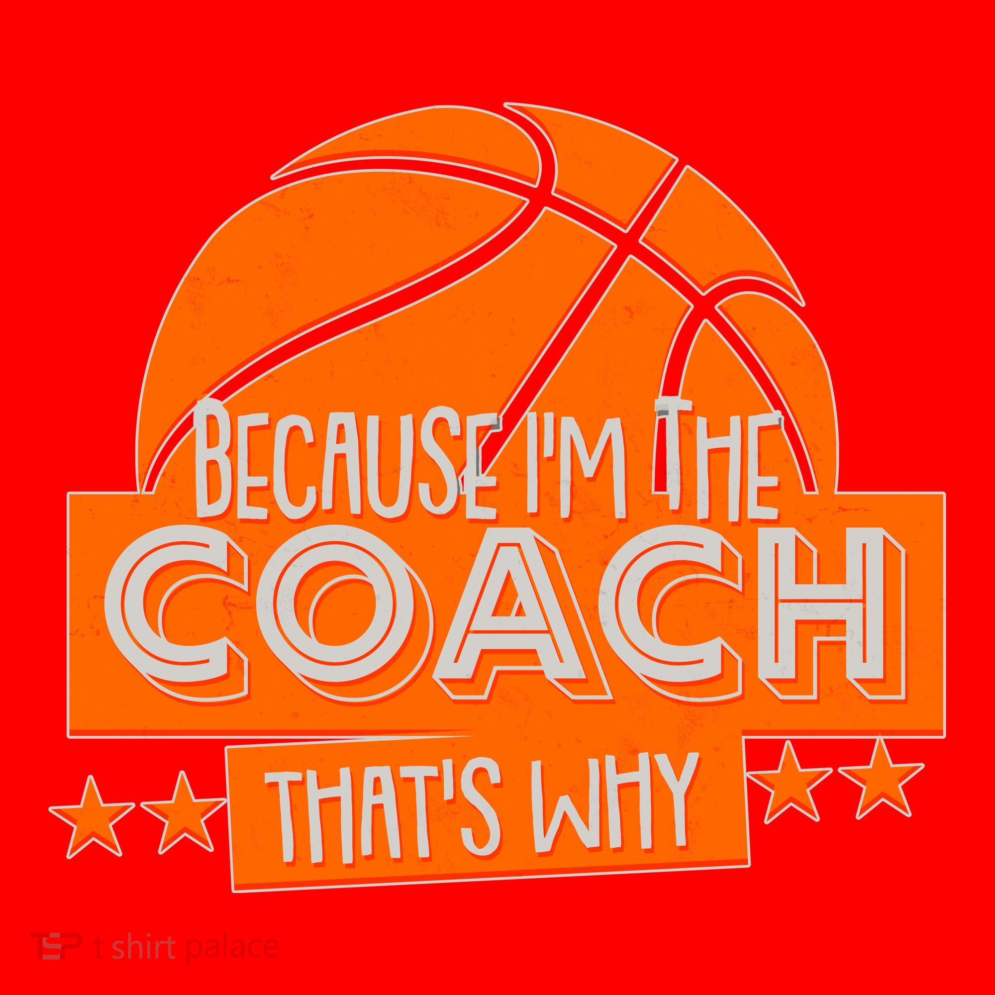 Funny Because I'm The Coach That's Why Santa Hat