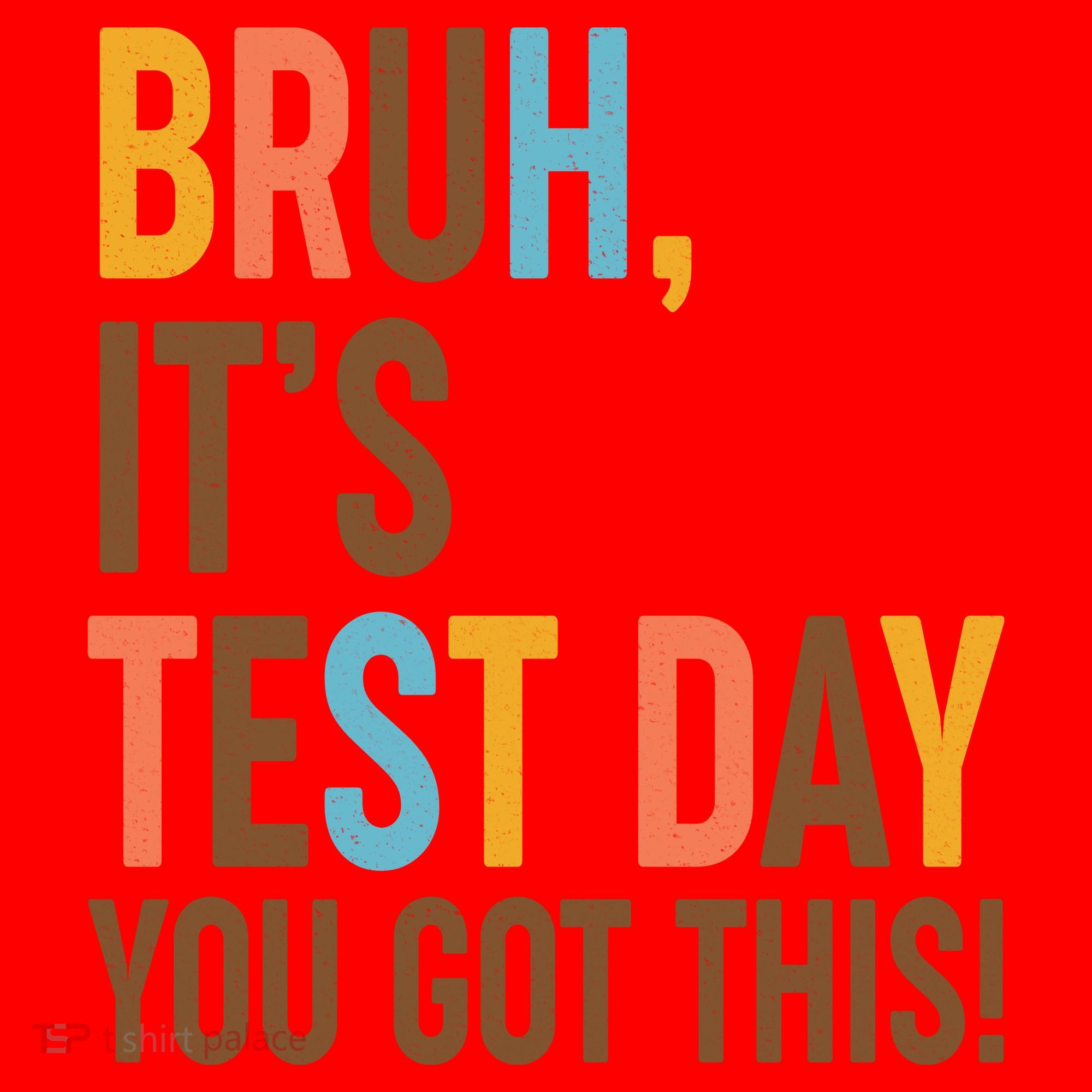 Funny Bruh ItS Test Day You Got This Santa Hat