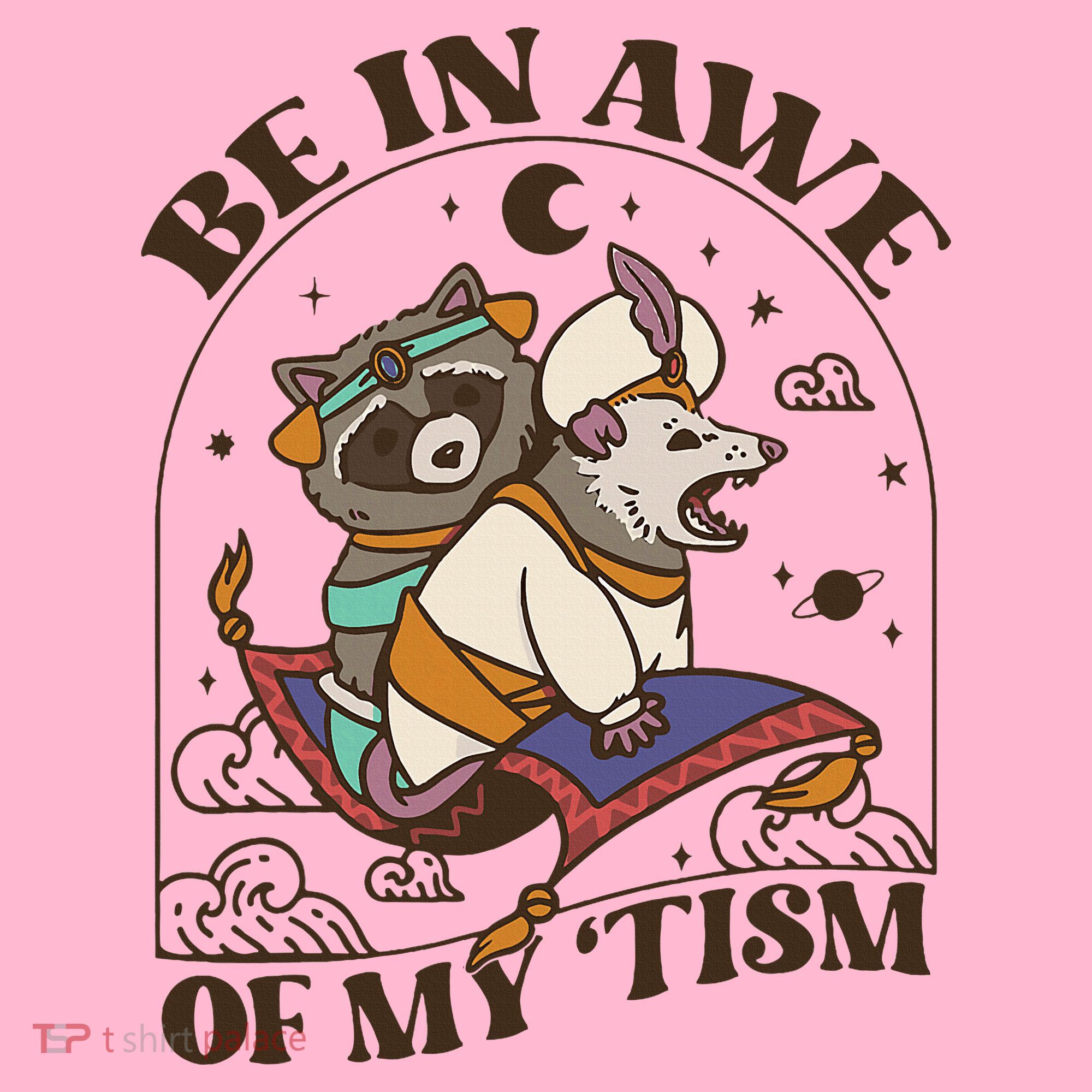 Funny Be In Awe Of My Tism Raccoon Possum Coaster