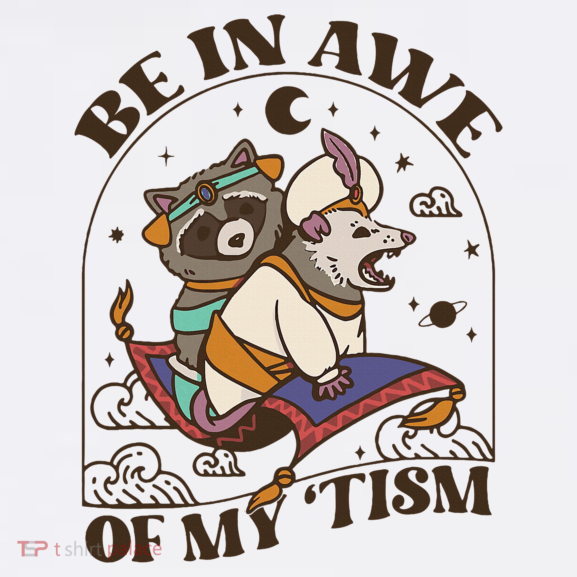 Funny Be In Awe Of My Tism Raccoon Possum Hoodie