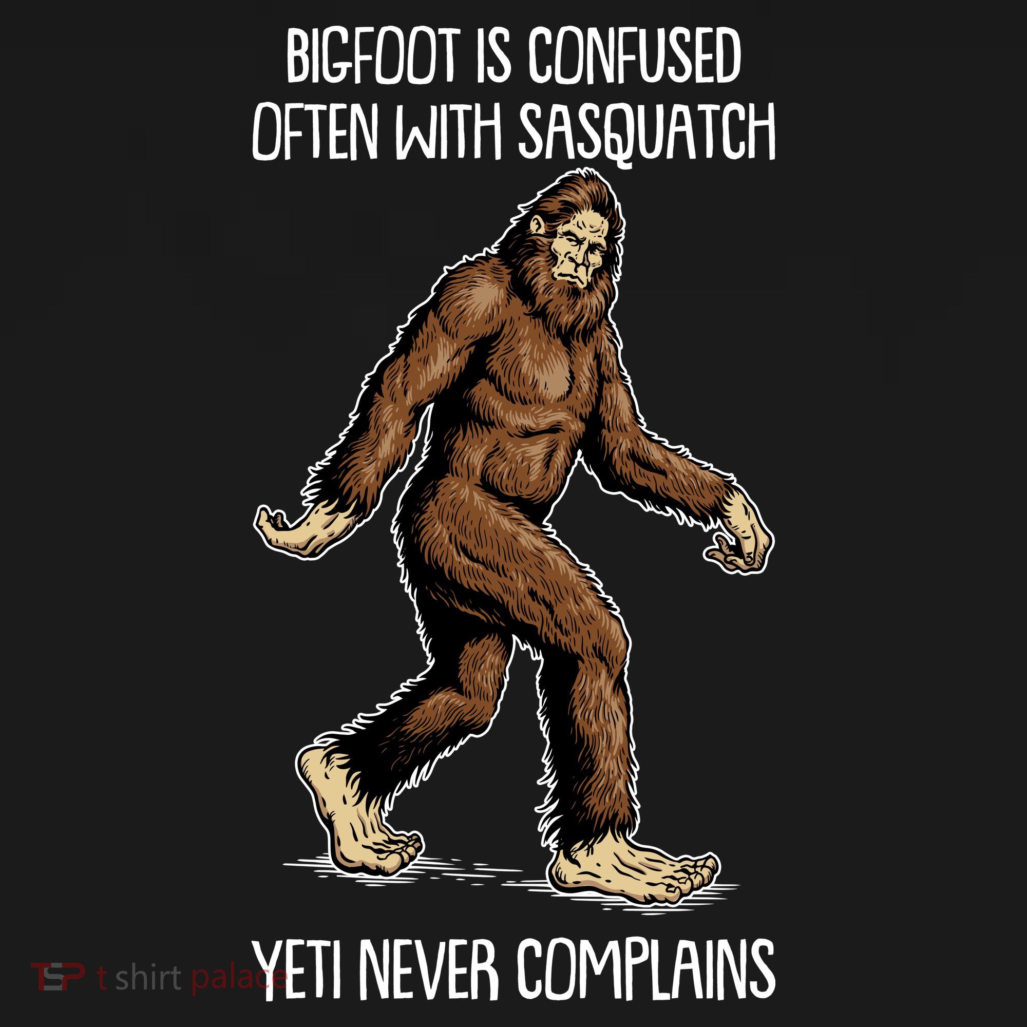 Funny Bigfoot Is Confused Often With Sasquatch Yeti Never Complains Women's Hoodie