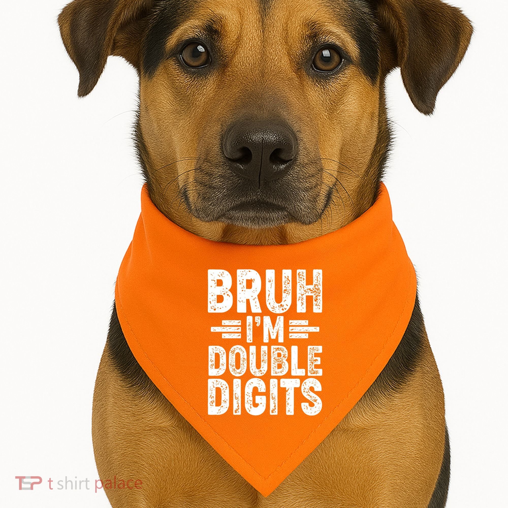 Funny Bruh Im Double Digits 10th Birthday USA-Made Doggie Bandana