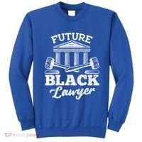 Future Black Lawyer Funny Attorney Law School Graphic Gift Sweatshirt thumb 0