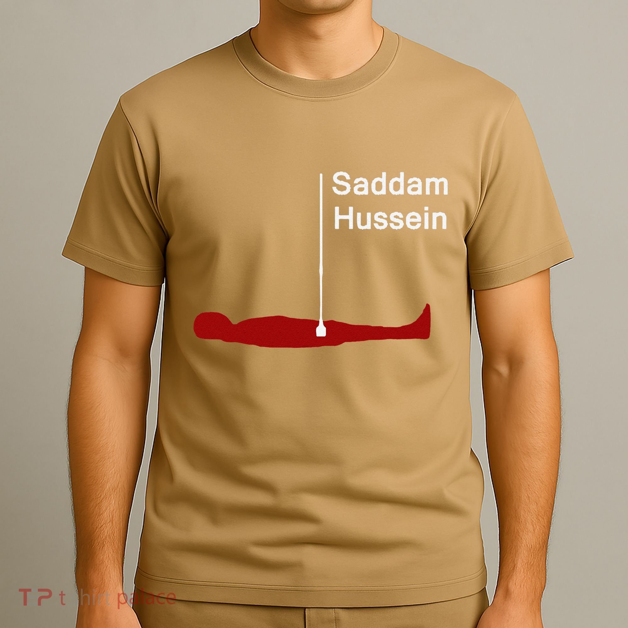 Funny Brainrot Meme Saddam HusseinS Hiding Spot Teen Joke T-Shirt