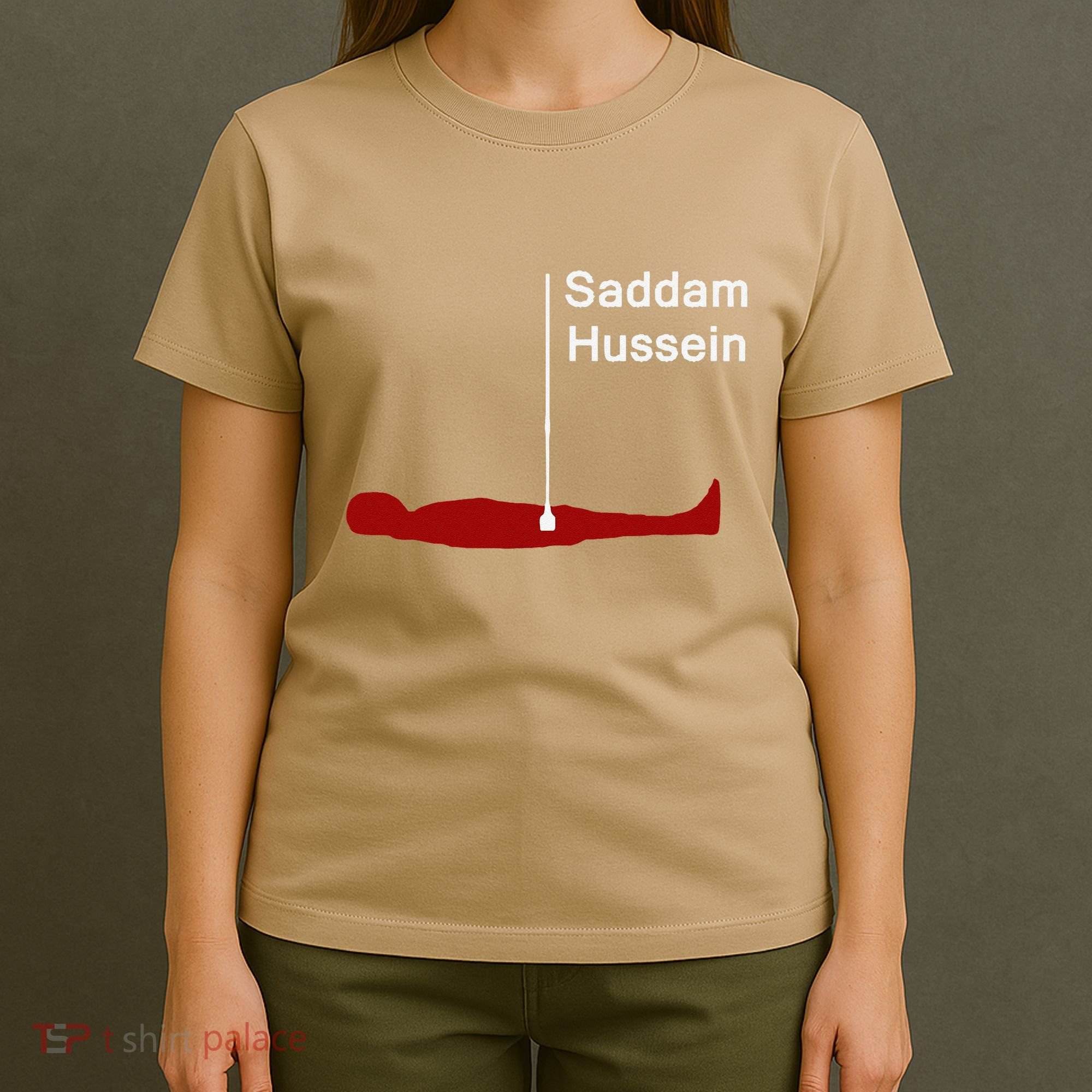Funny Brainrot Meme Saddam HusseinS Hiding Spot Teen Joke T-Shirt