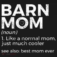 Funny Barn Mom Definition Best Mom Ever Horse Riding Women's Hoodie thumb 2