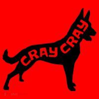 Funny Belgian Malinois Cray Cray Dog Santa Hat thumb 1