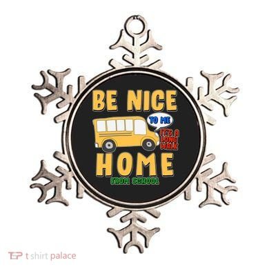 Funny Be Nice To Me It's A Long Walk Home Be Nice to Bus Driver Ornament