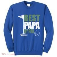 Funny Best Papa By Par FatherS Day Golf Dad Grandpa Gift Cute Gift Sweatshirt thumb 0