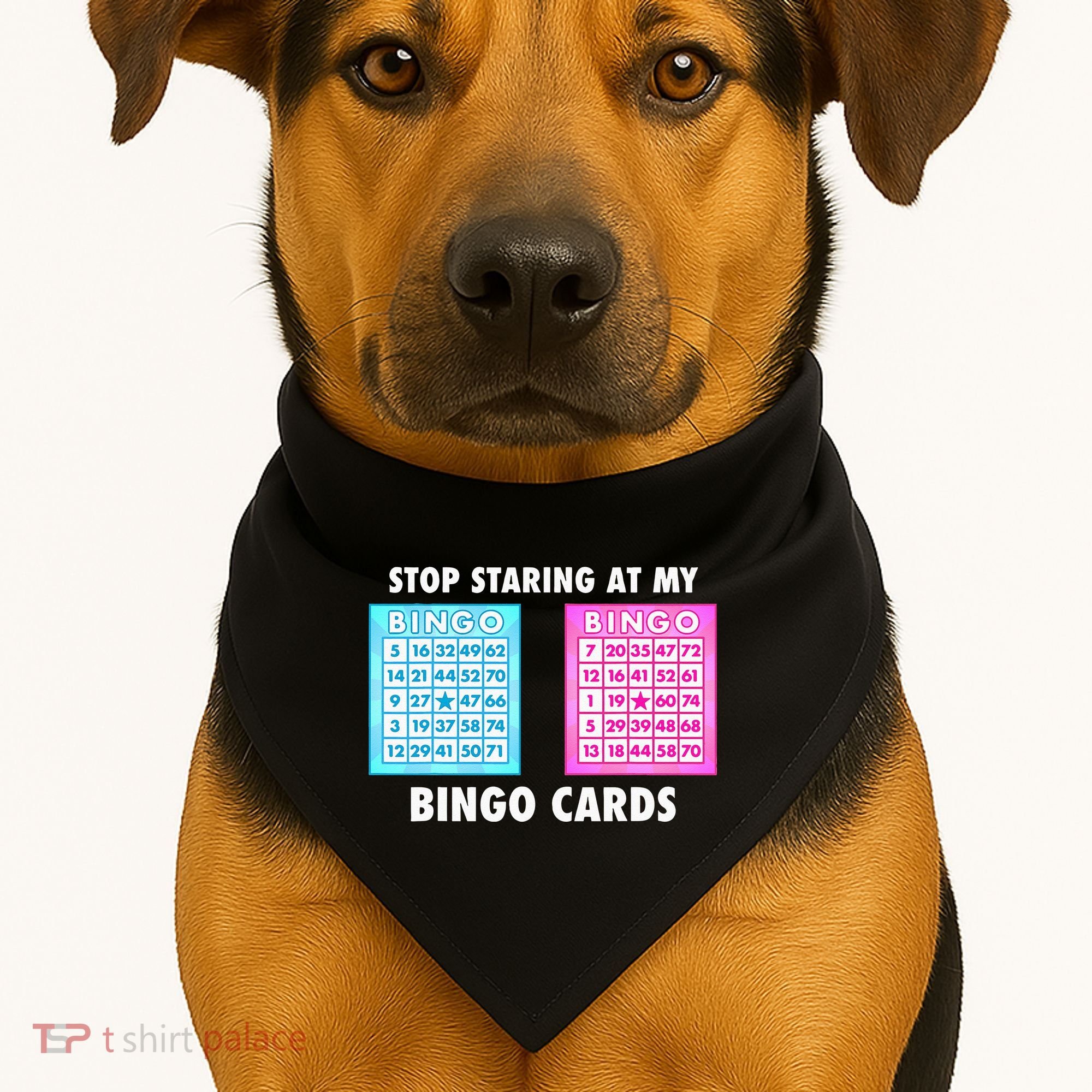 Funny Bingo Queen Stop Staring At My Bingo Cards USA-Made Doggie Bandana