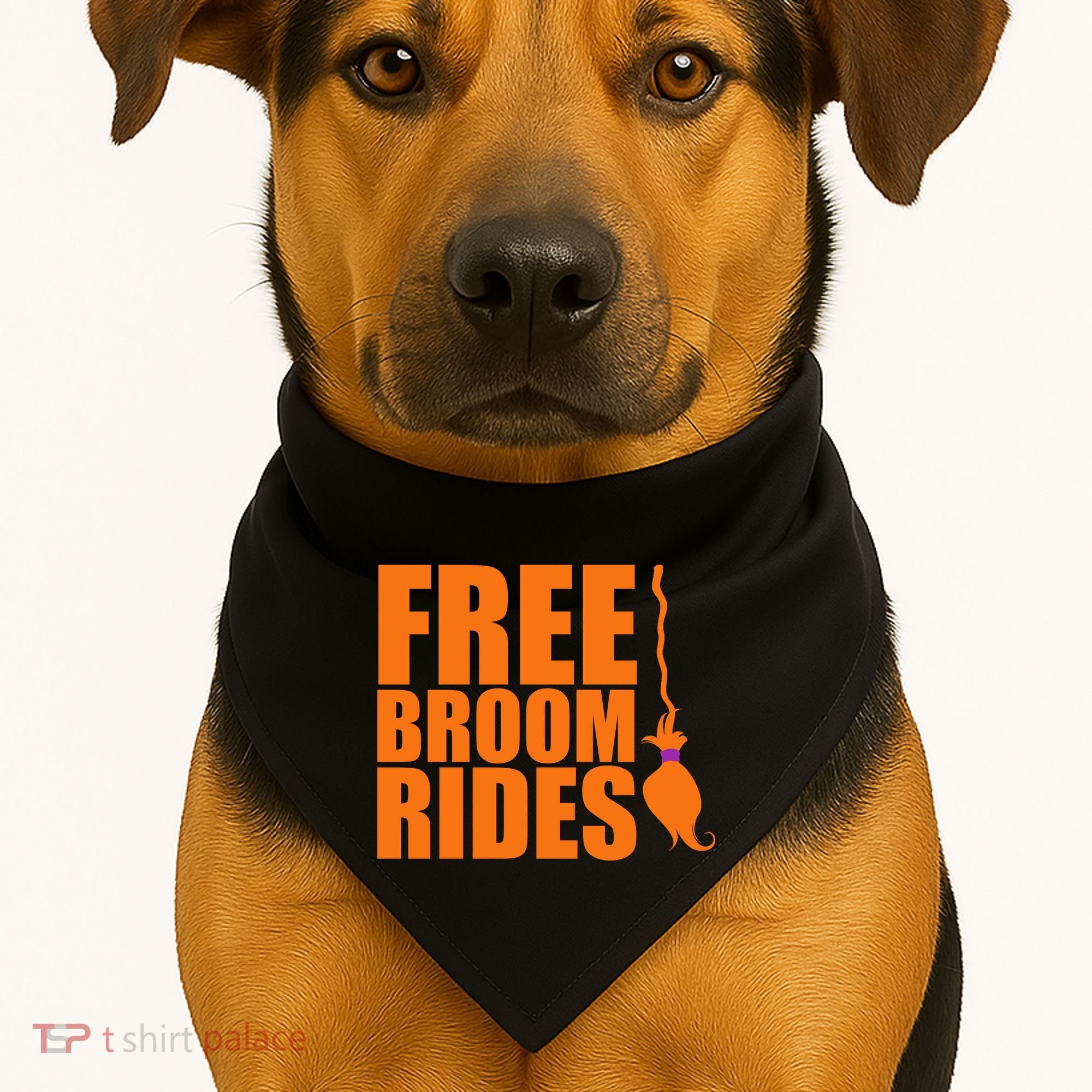 Free Broom Rides USA-Made Doggie Bandana
