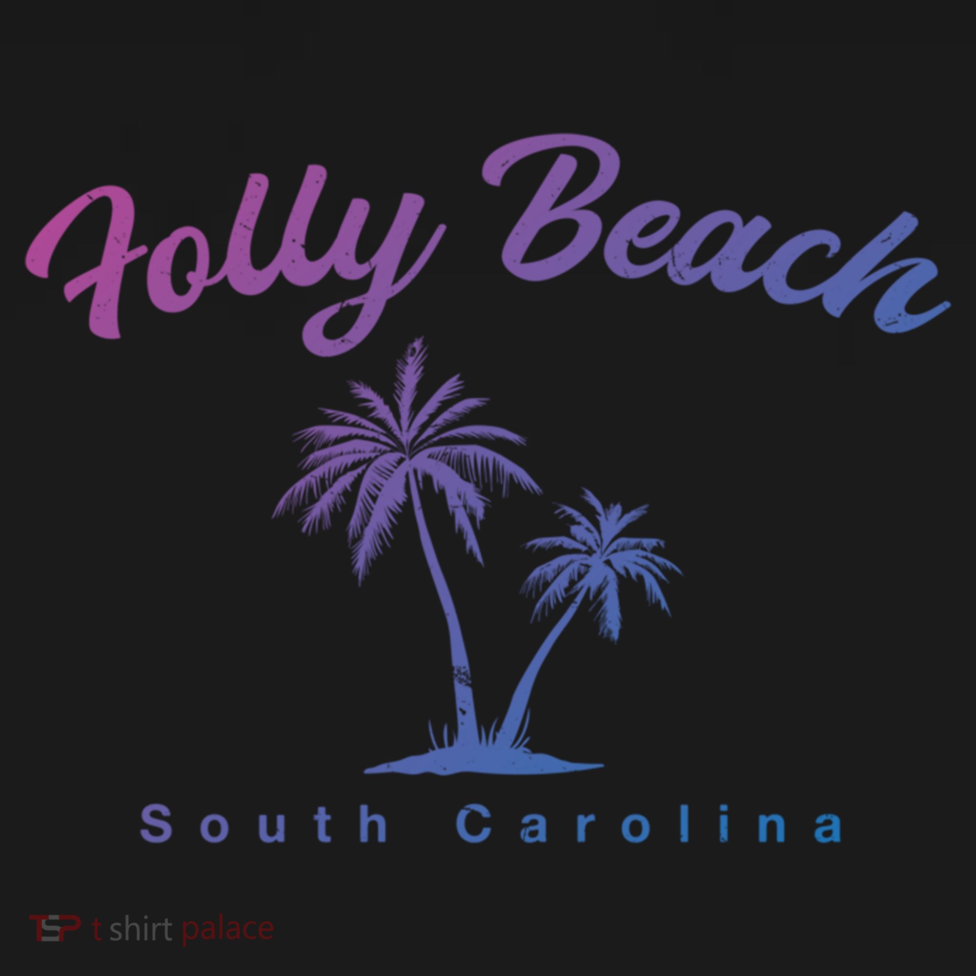 Folly Beach South Carolina Summer Sc Tropical Charleston Gift Women's Hoodie