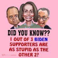 Funny Biden Supporters Are Stupid Anti Biden Democrats Gift Hoodie thumb 7