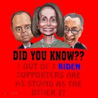 Funny Biden Supporters Are Stupid Anti Biden Democrats Gift Santa Hat thumb 1