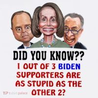 Funny Biden Supporters Are Stupid Anti Biden Democrats Gift Women's Hoodie thumb 2