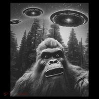 Funny Bigfoot Sasquatch Alien Ufo Coaster thumb 2