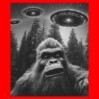 Funny Bigfoot Sasquatch Alien Ufo Santa Hat thumb 1