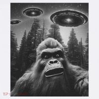 Funny Bigfoot Sasquatch Alien Ufo T-Shirt thumb 7