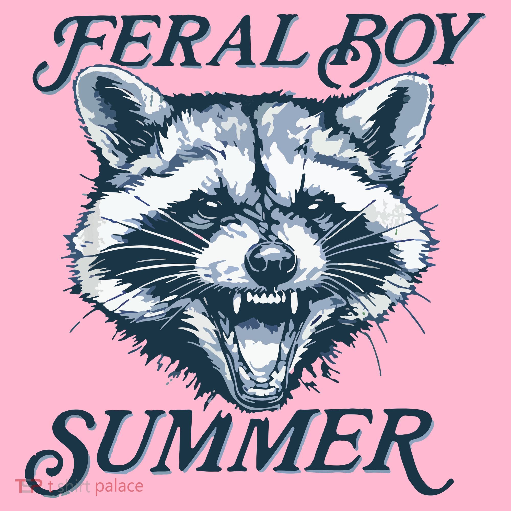 Feral Boy Summer Funny Raccoon Meme Trash Panda Raccoon Coaster