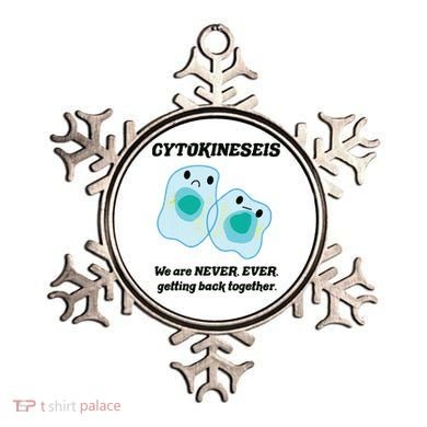 Funny Biology Science Biology Teacher Gift Idea Ornament