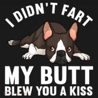 Funny Boston Terrier Art For Boston Terrier Lovers Women's Hoodie thumb 2