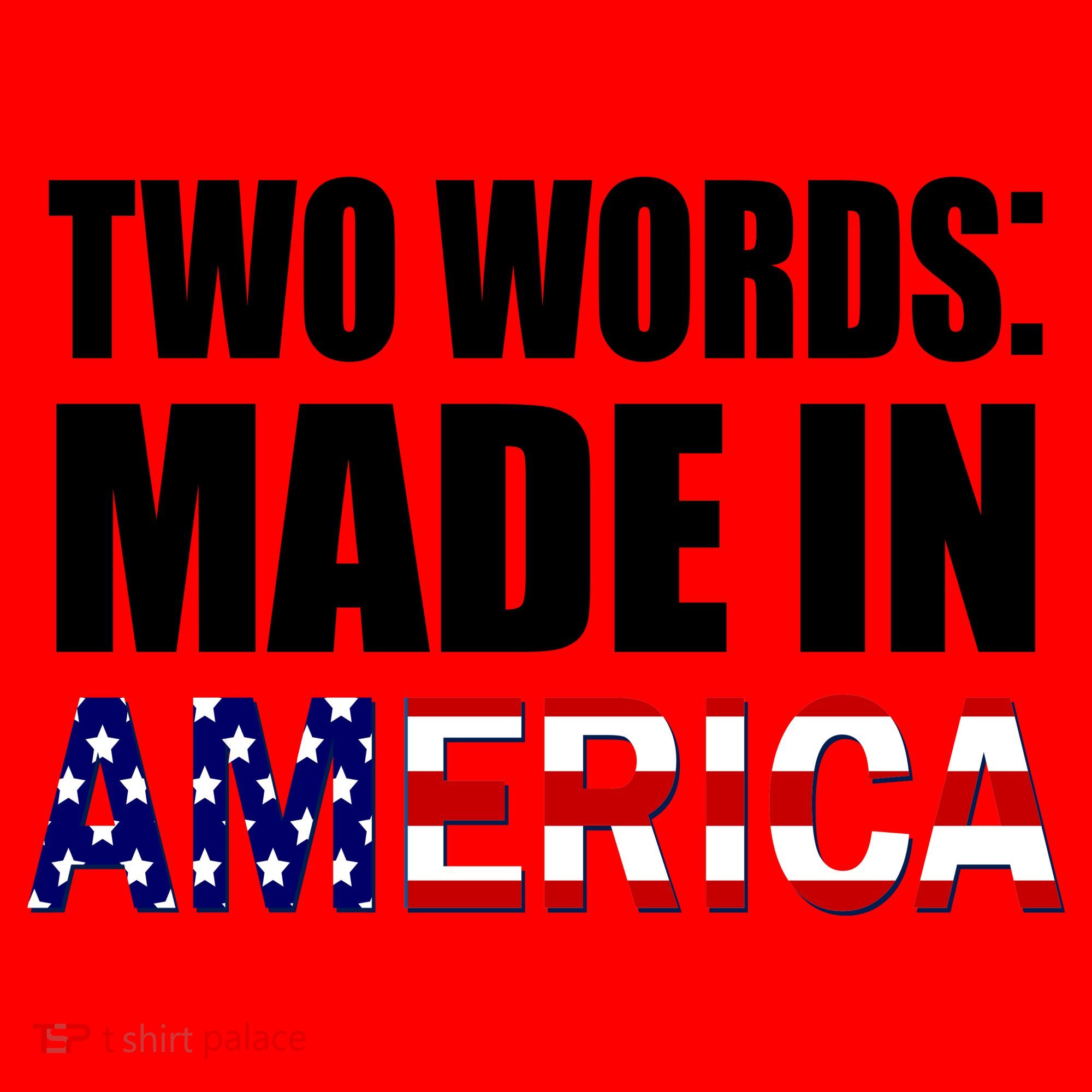 Funny Biden Two Words, Made In America Santa Hat
