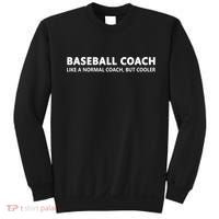 Funny Baseball Trainer Definition Baseball Coach Sweatshirt thumb 0
