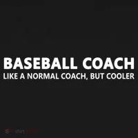 Funny Baseball Trainer Definition Baseball Coach Toddler Hoodie thumb 2