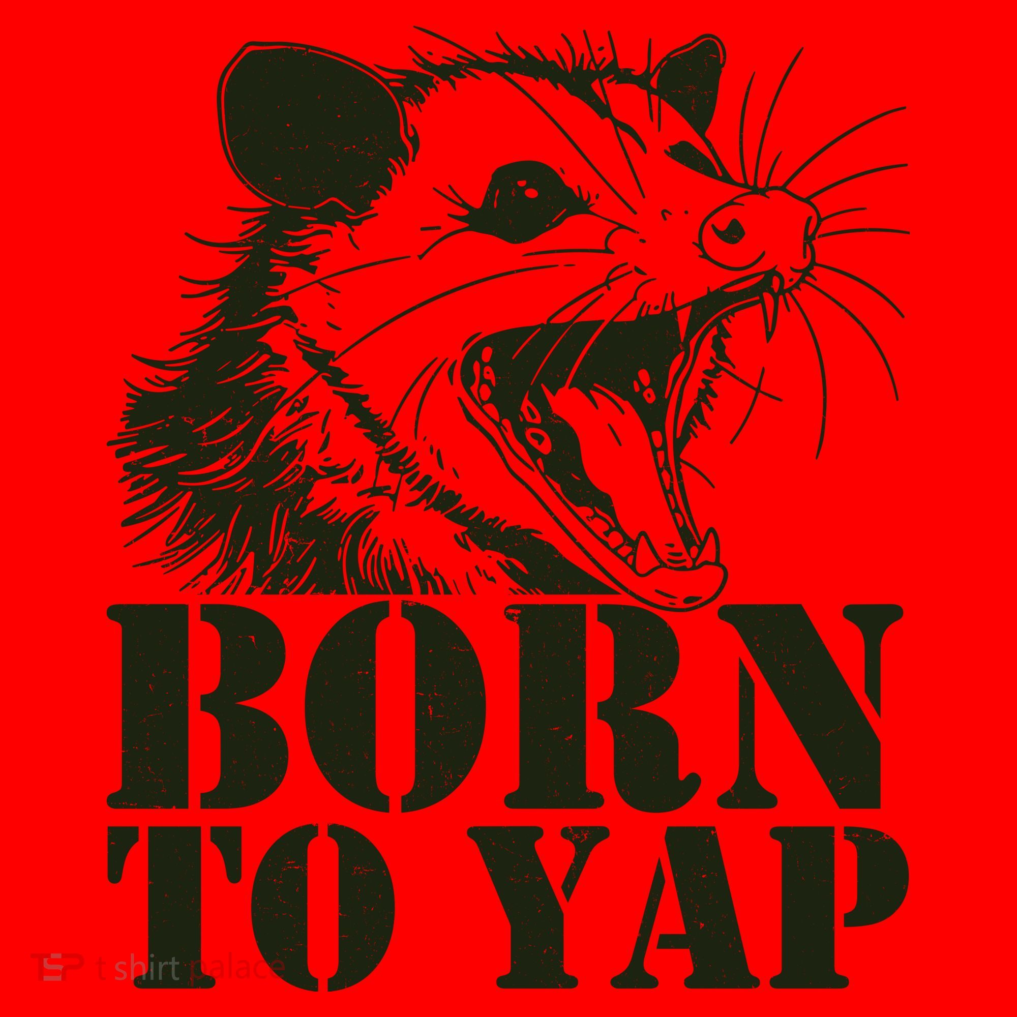 Funny Born To Yap Opossum Santa Hat