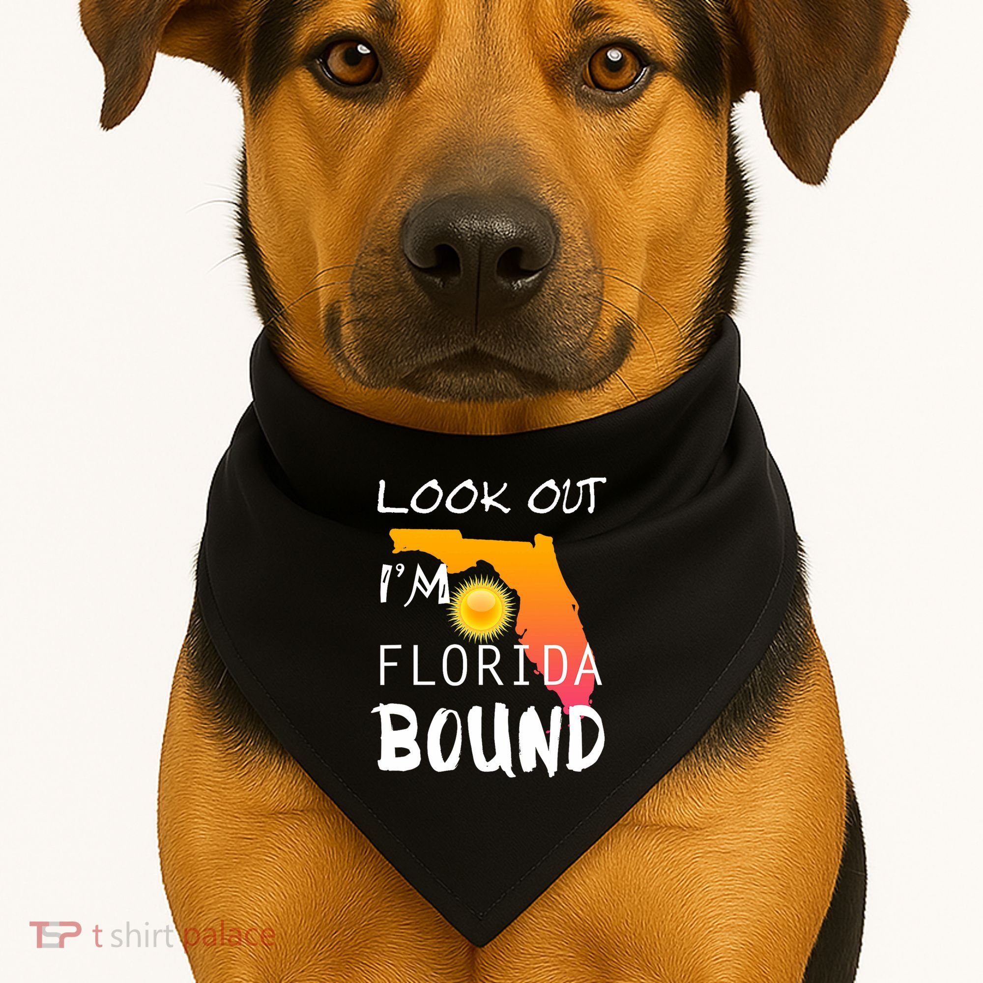 Florida Bound Vacation Spring Break USA-Made Doggie Bandana