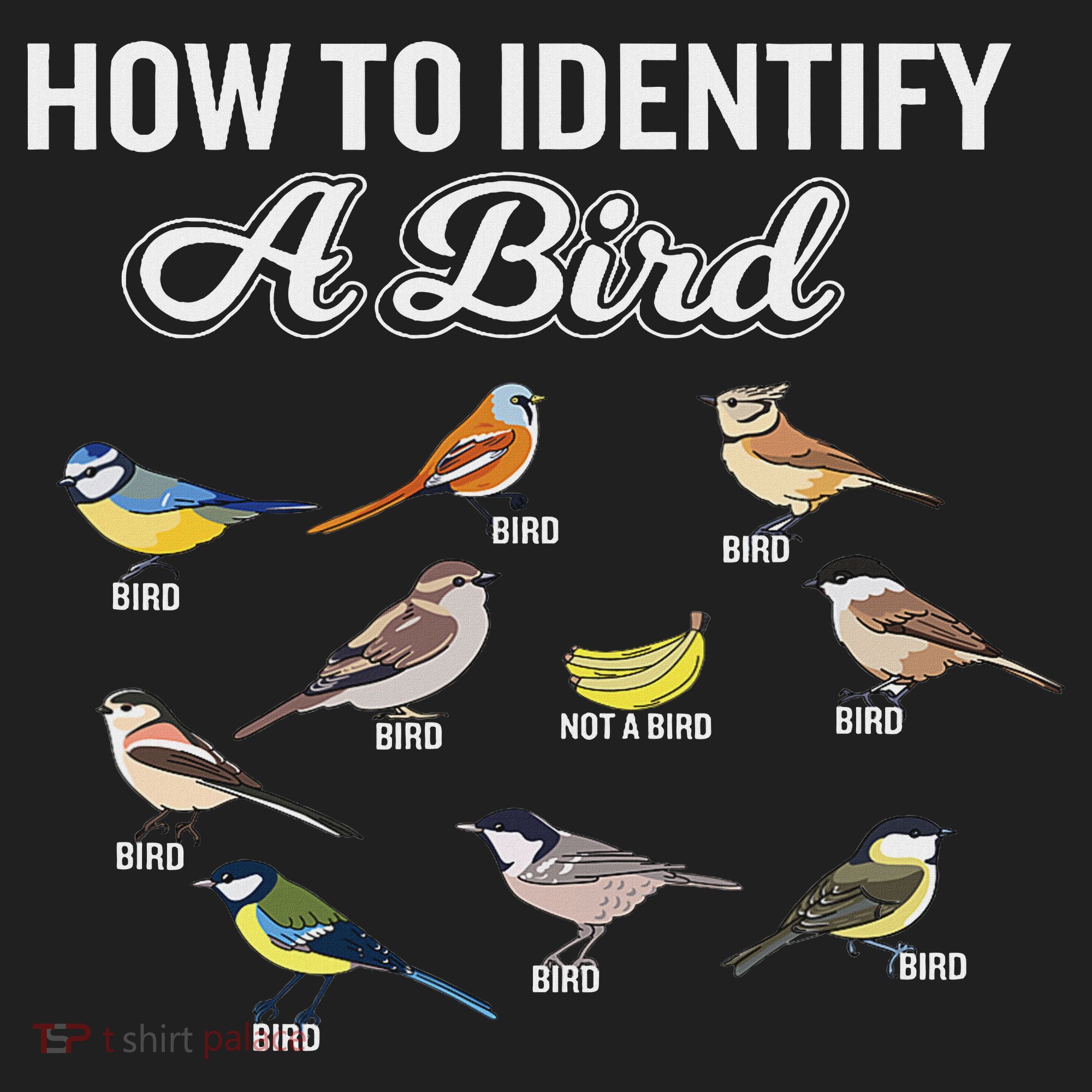 Funny Bird Watcher How To Identify A Bird Unique Birder Beanie