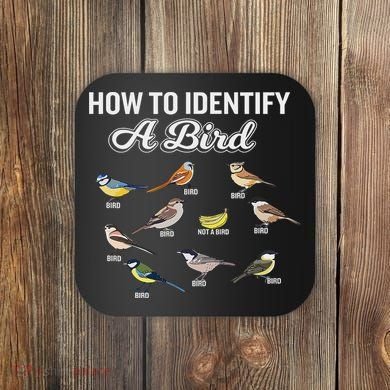 Funny Bird Watcher How To Identify A Bird Unique Birder Coaster