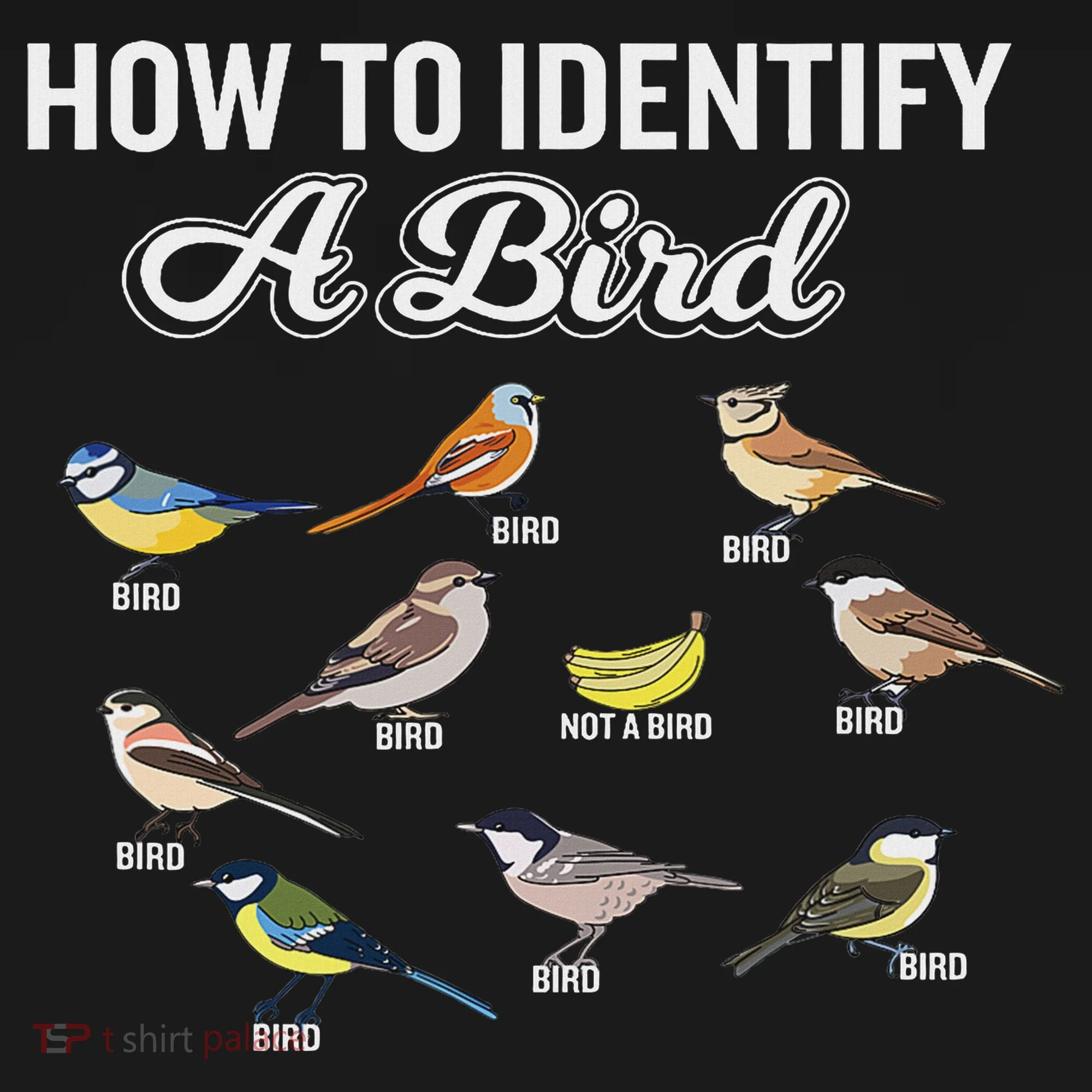 Funny Bird Watcher How To Identify A Bird Unique Birder Coaster