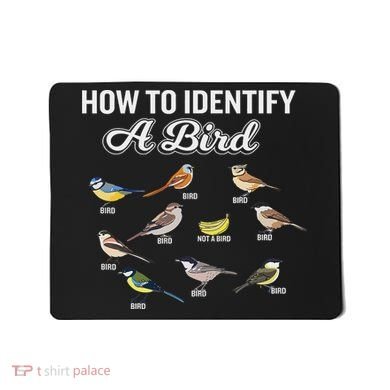 Funny Bird Watcher How To Identify A Bird Unique Birder Mousepad
