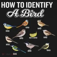 Funny Bird Watcher How To Identify A Bird Unique Birder Ornament thumb 1