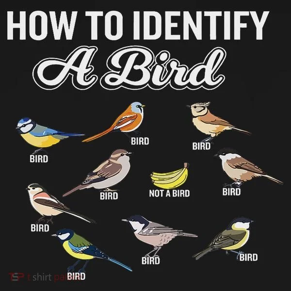 Funny Bird Watcher How To Identify A Bird Unique Birder Ornament