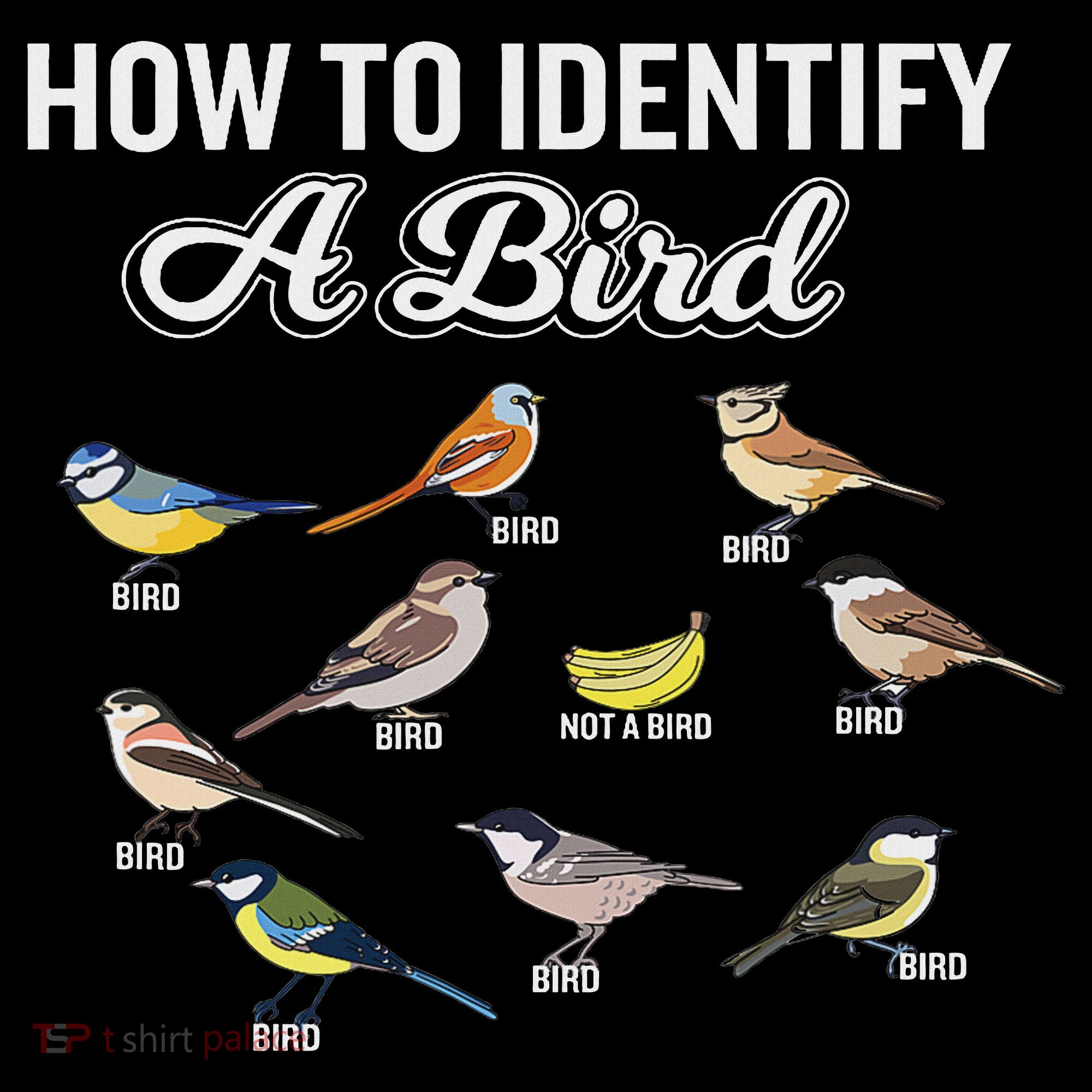 Funny Bird Watcher How To Identify A Bird Unique Birder Women's Long Sleeve Shirt
