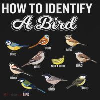 Funny Bird Watcher How To Identify A Bird Unique Birder Full Zip Hoodie thumb 2