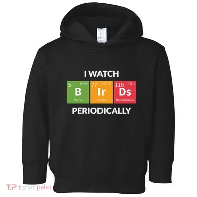 Toddler Hoodie