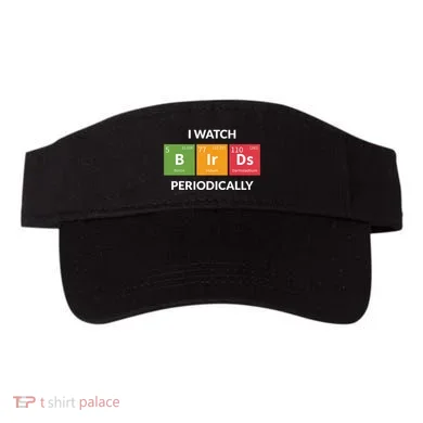 Visor