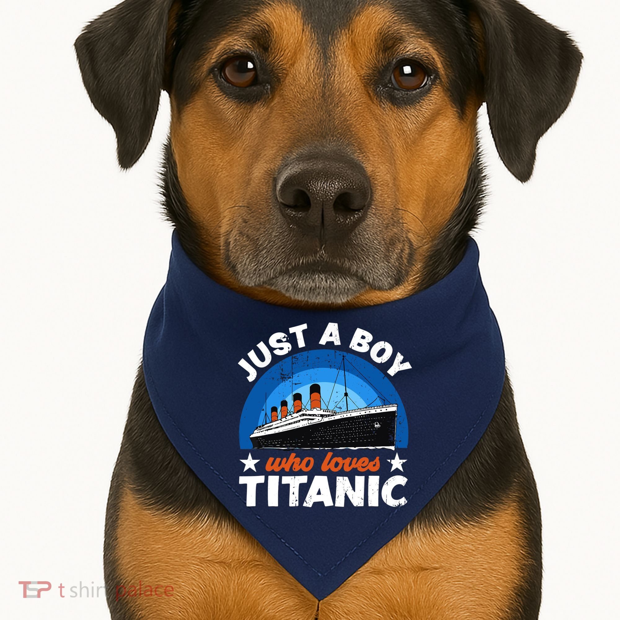 For Boys Who Just Love The RMS Titanic USA-Made Doggie Bandana