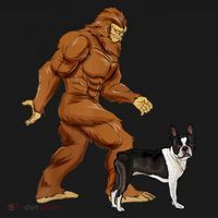 Funny Bigfoot Walking Boston Terrier Sasquatch Dog Mousepad thumb 1