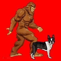 Funny Bigfoot Walking Boston Terrier Sasquatch Dog Santa Hat thumb 1