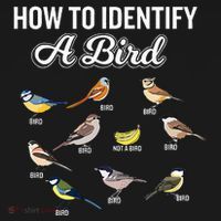 Funny Bird Watcher How To Identify A Bird Unique Birder USA-Made Doggie Bandana thumb 2