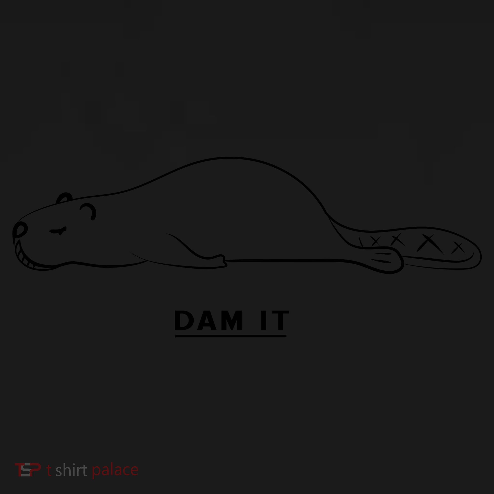 Funny Beaver Wildlife Pun Dam It Coaster