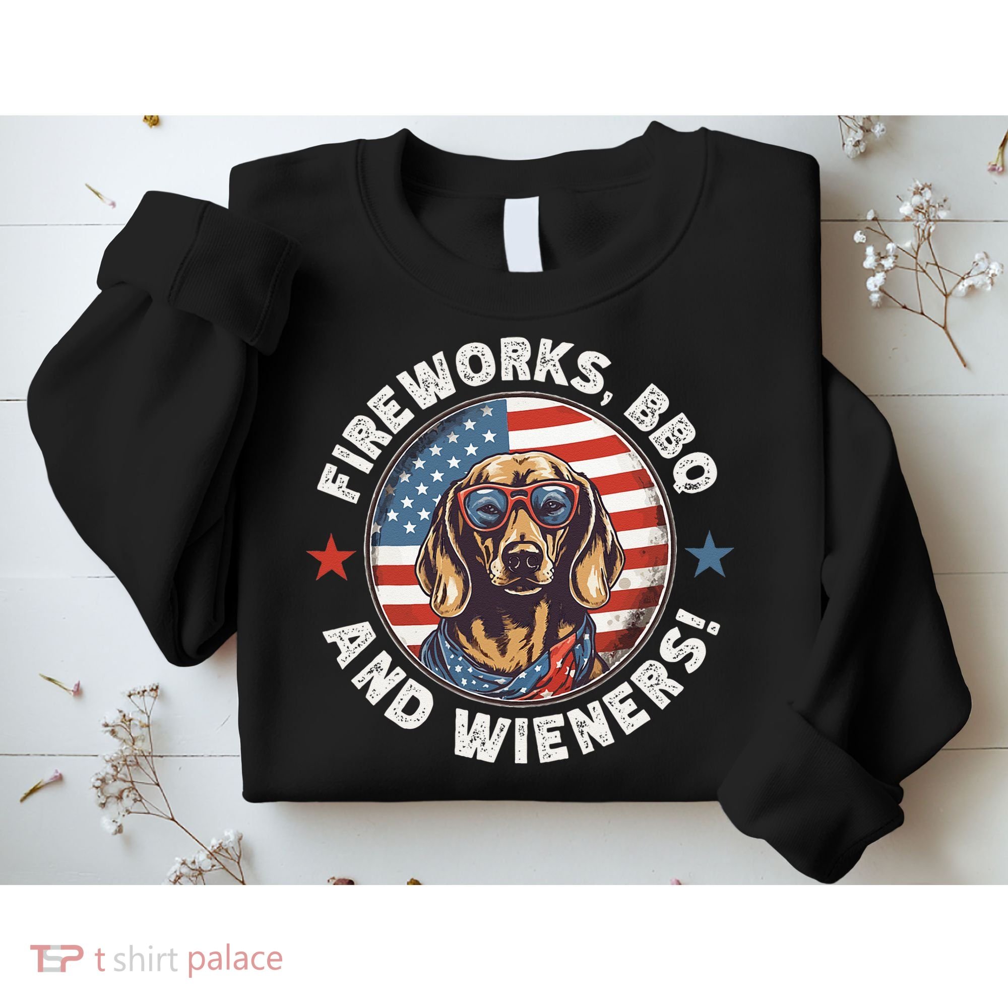Fireworks BBQ & wieners Funny Weiner Dog July 4th Dachshund Sweatshirt